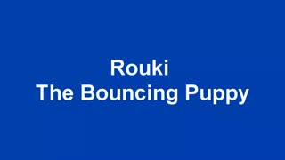 Rouki Bouncing