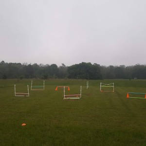 'Hunter-Jumper Course'... Ponies on the Delta- April