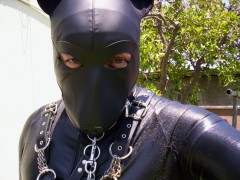 Soft leather dog hood