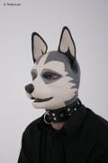 RubberDog Lupo as a Husky.