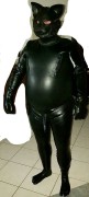 Mal Latex