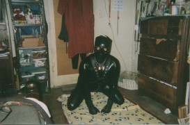 pup in room