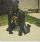 Neoprene pup