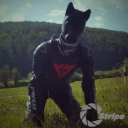 BikerPup Prof - WM