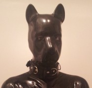 Finally I have some real puppy gear!