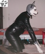 Huskymake2