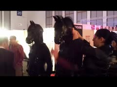 Kinky Horses live