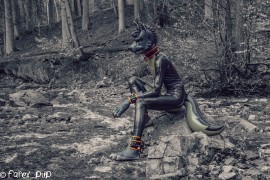 Rubber Wolf