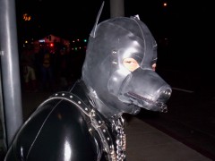 In Full pup gear