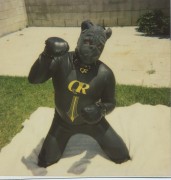 Neoprene pup