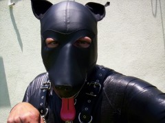 Soft leather dog hood