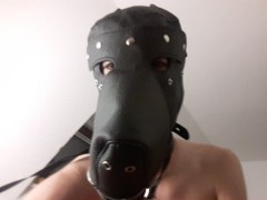 Pup_Chase with mask.