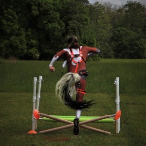 'Jump!'... Ponies on the Delta- April