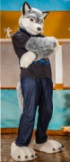 Polar Fursuit