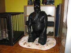 Rubberdog (5)