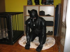 Rubberdog (4)