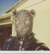 Neoprene pup  