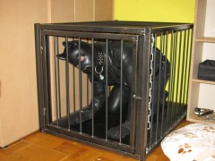 Rubberdog (3)