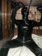 Caged pup