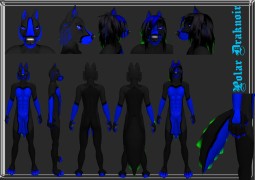 Refsheet Polar Draknoir