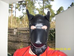 Rubber dog