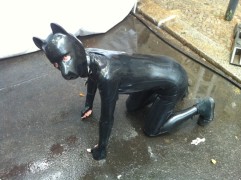 Rubberpup