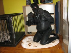 Rubberdog (1)