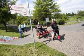 Pferde brauchen Auslauf 