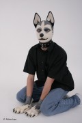 RubberDog Lupo as a Husky.