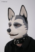 RubberDog Lupo as a Husky.