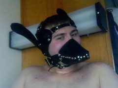 Pony play muzzle