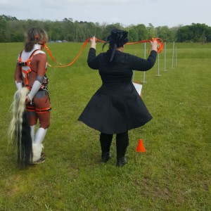 Meine Ownerin Shalima und Milkyway bereit zum 'Pole-Race'... Ponies on the Delta- April