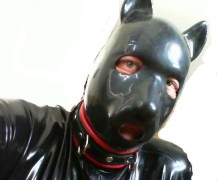 doggy1