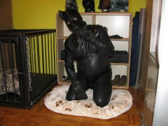 Rubberdog (6)