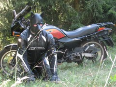 Bikerdog Lucky3