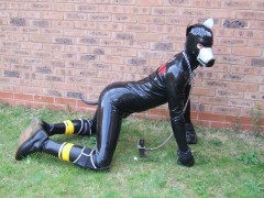 Woof!