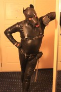 Pup in Gear