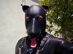 Soft leather dog hood