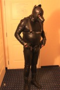 pup in gear