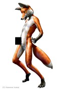 Latex Fuchs