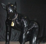 RubberDog