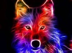 Neonwolf