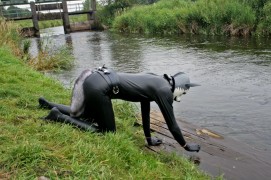 Lupo at the river