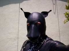 Soft leather dog hood