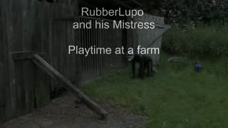 play_time_at_a_farm.wmv