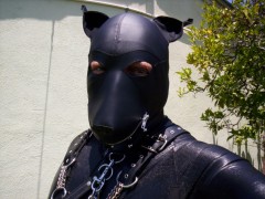 Soft leather dog hood