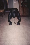 Big Rubber pup