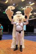 FurCon 2012