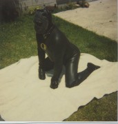 Neoprene pup