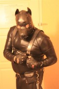 pup in gear